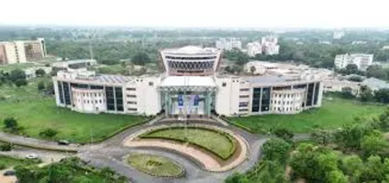 IIT Patna Phase 1 Placements: Over 200 jobs were offered and 15 students received international offers