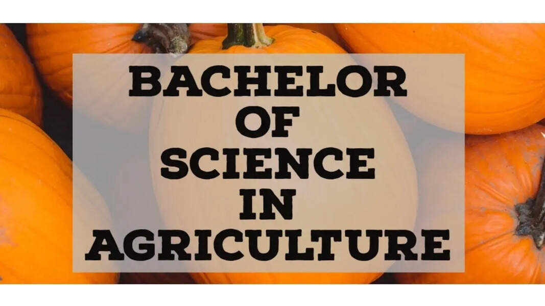 B.Sc in Agriculture: Full Course Details, Eligibility, Fees & Career Scope