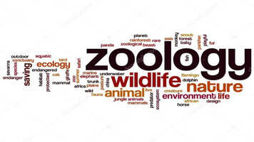 Zoology Graduates: High-Earning Jobs in Bioinformatics and Conservation Science