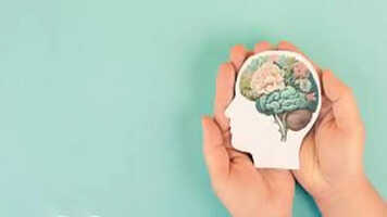 Top Psychology Colleges in Bangalore 2026: Courses, Fees & Career Scope
